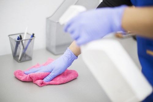 Local cleaner working in a Balham flat or apartment