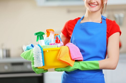 Detailed pre-occupancy cleaning in a Balham flat
