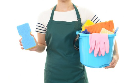 Cleaner maintaining a shared stairwell and landing in a local property