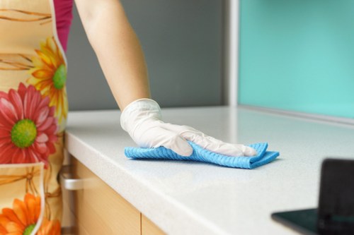 Domestic cleaner working in a Balham living room with local home care
