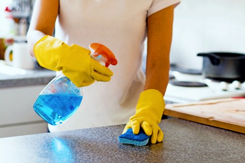 Fresh start cleaning for cupboards and surfaces in Balham