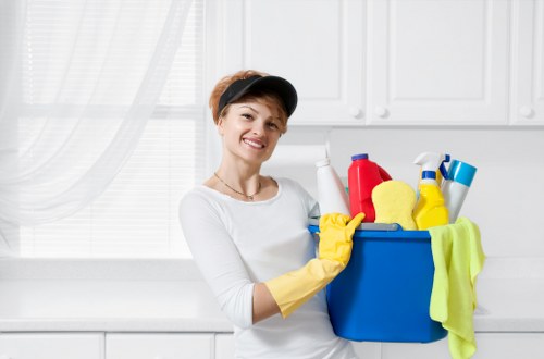 Removing stains and odours from a rug in Balham