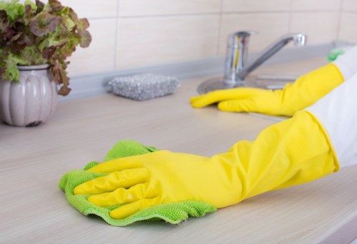 Professional pet stain and odour removal for a carpet in Balham