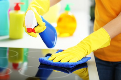 Local cleaner working on hard-to-reach windows in Balham
