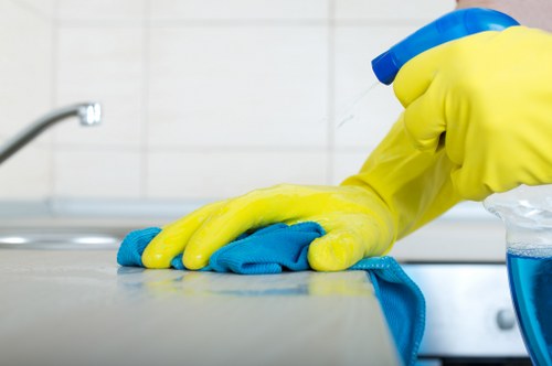 Deep cleaning an oven rack and interior during a Balham appointment