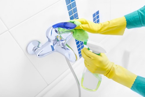 Balham window cleaning service for homes and businesses
