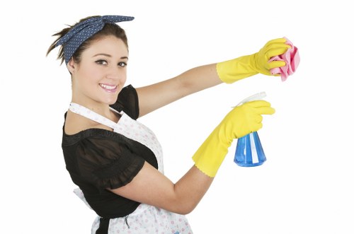 Professional exterior cleaning for brick and render in Balham